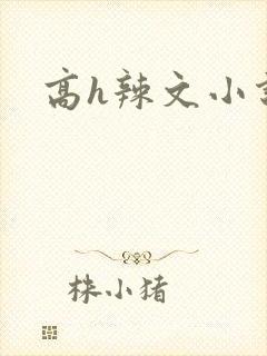 高h辣文小说