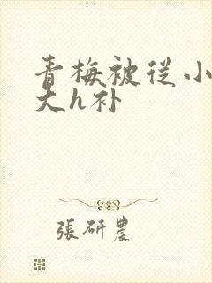 青梅被从小摸到大h补封面