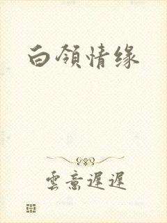 白领情缘封面