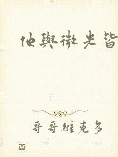他与微光皆倾城封面