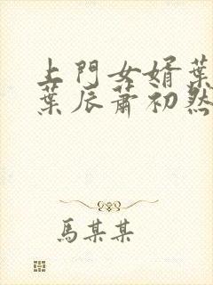 上门女婿叶辰 叶辰萧初然531
