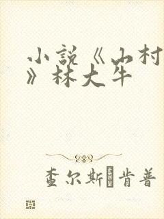 小说《山村情事》林大牛