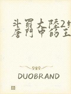 斗罗大陆2绝世唐门中的王冬封面