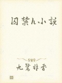 囚禁h小说封面