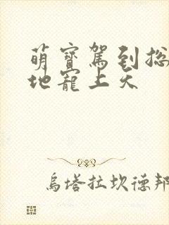 萌宝驾到总裁爹地宠上天