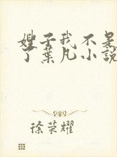 嫂子我不是傻子了叶凡小说免费阅读封面