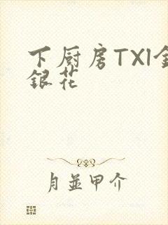 下厨房TXl金银花