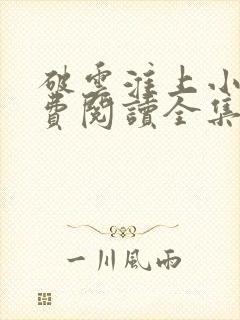破云淮上小说免费阅读全集封面