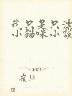 我只是只漂亮的小猫咪小说免费阅读封面