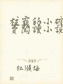 校霸的小确幸免费阅读小说