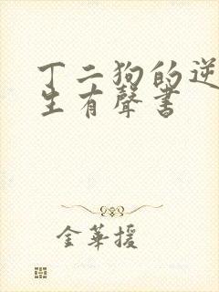 丁二狗的逆袭人生有声书