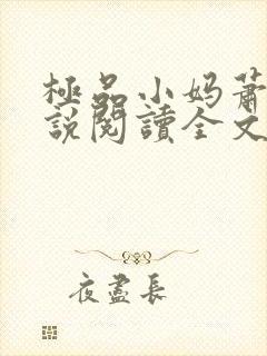 极品小妈萧雅小说阅读全文封面