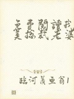 免费阅读我的绝美总裁老婆全文封面