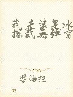 我老婆是冰山女总裁无弹窗免费
