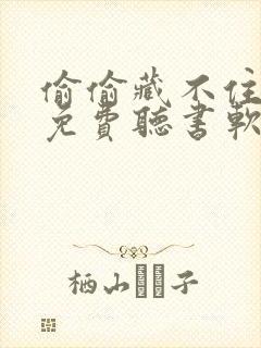 偷偷藏不住小说免费听书软件