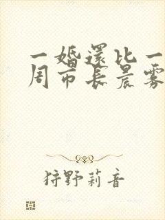 一婚还比一婚高周市长晨雾的光