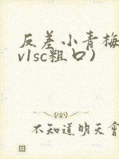 反差小青梅(1v1sc粗口)