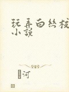 玩弄白丝校花的小说封面