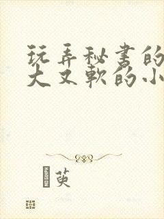 玩弄秘书的奶又大又软的小说封面