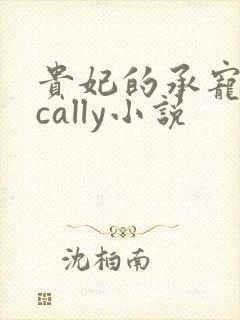 贵妃的承宠日常cally小说封面