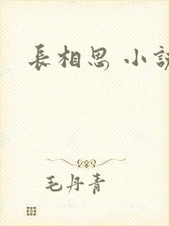 长相思 小说封面