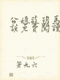 公媳苏玥马强小说免费阅读
