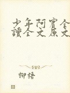 少年阿宾全文阅读全文原文封面
