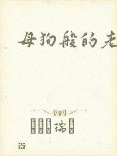 母狗般的老师封面