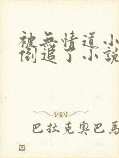 被无情道小师弟倒追了小说txt下载