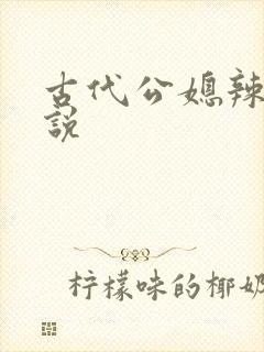 古代公媳辣文小说