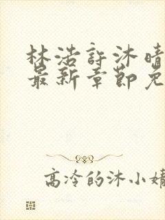 林浩许沐晴小说最新章节免费阅读全文