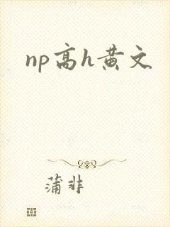 np高h黄文