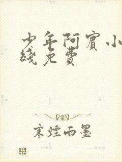 少年阿宾小说在线免费
