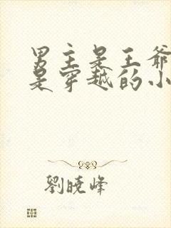 男主是王爷女主是穿越的小说