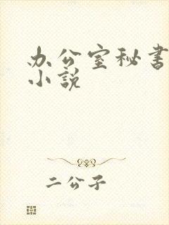 办公室秘书激情小说