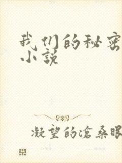 我们的秘密泰剧小说封面