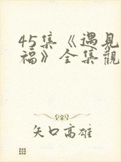 45集《遇见幸福》全集观看免费高清封面