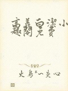 高义白洁小说笔趣阁免费
