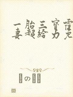 一胎三宝霍总宠妻超给力免费阅读