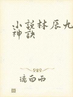 小说林辰九天斩神诀封面