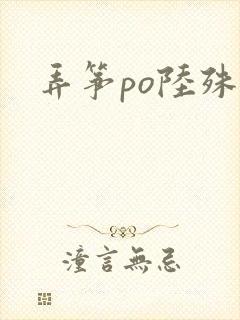弄筝po陆殊词封面