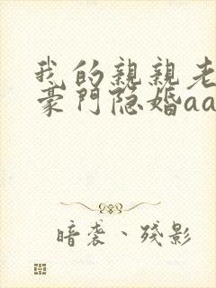 我的亲亲老婆之豪门隐婚aa制