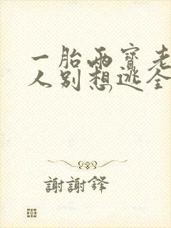 一胎两宝老婆大人别想逃全文免费阅读封面