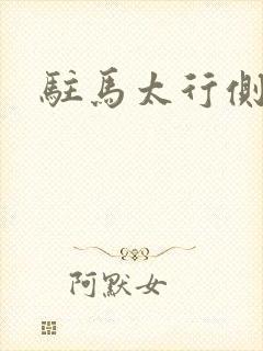 驻马太行侧