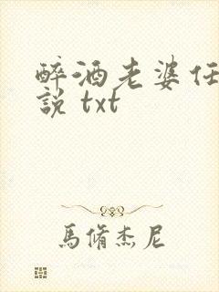 醉酒老婆任念小说 txt