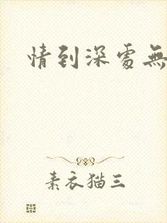 情到深处无怨尤封面