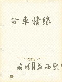 公车情缘