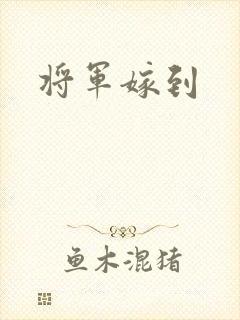将军嫁到