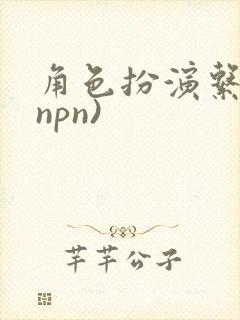 角色扮演系统(npn)