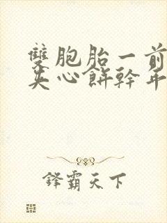 双胞胎一前一后夹心饼干年下封面